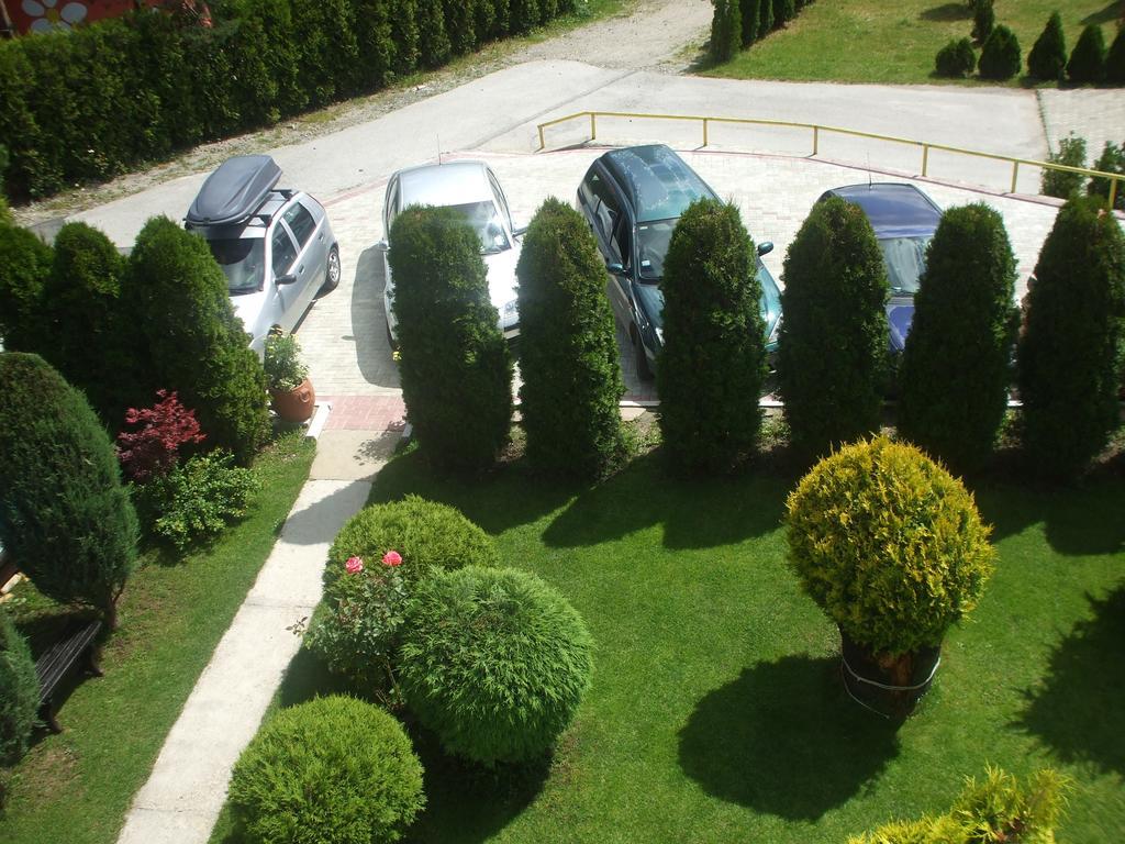 Villa Bozovic Златибор Екстер'єр фото