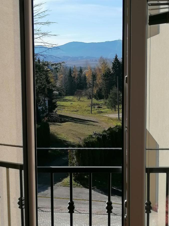 Villa Bozovic Златибор Екстер'єр фото