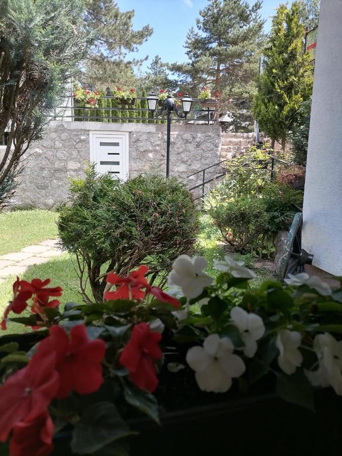 Villa Bozovic Златибор Екстер'єр фото